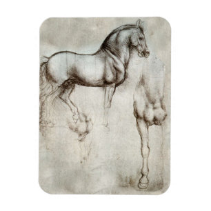 Ímã do cavalo de da Vinci