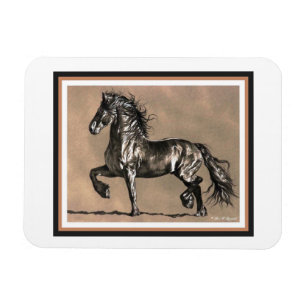 Ímã do cavalo do frisão