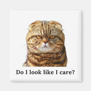 Imã "Do I look like I care" Grumpy Cat