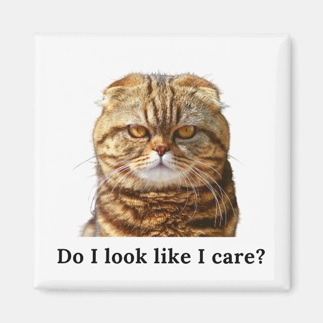 Imã "Do I look like I care" Grumpy Cat (Frente)