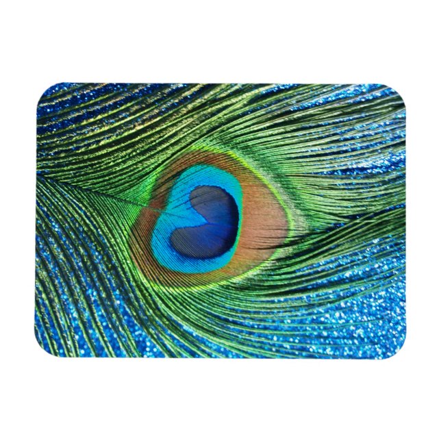 Ímã Do pavão da pena vida azul Glittery ainda (Horizontal)