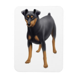 Ímã do prêmio do Pin do minuto do Pinscher