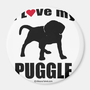 IMÃ DO "RAÇA CÃO" - PUGGLE - "EU AMO MEU PUGGLE "
