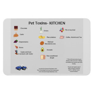 ÍMÃ DO REFRIGERADOR PARA A SEGURANÇA DO ANIMAL 