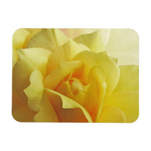 Ímã do rosa amarelo