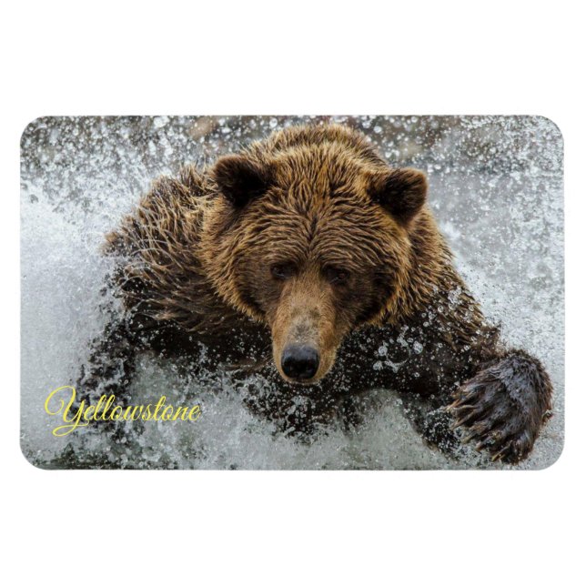 Ímã do Yellowstone-Urso (Horizontal)