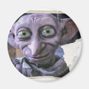 Imã Dobby 1
