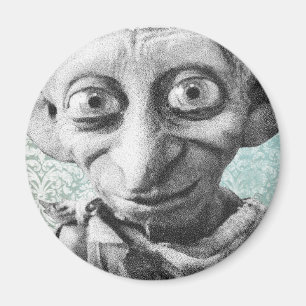 Imã Dobby 4