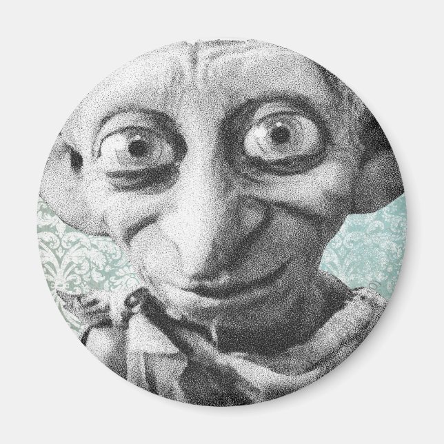 Imã Dobby 4 (Frente)