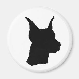 Imã Doberman Magnent principal