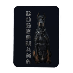 Ímã Doberman Pinscher