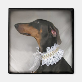 Imã Doberman Pinscher, azul Elegante