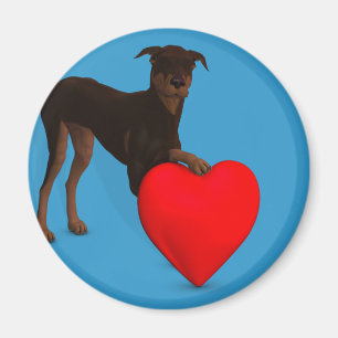 Imã Doberman Pinscher com Coração