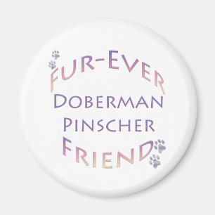 Imã Doberman Pinscher Fuservidor