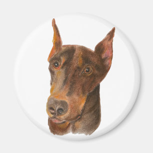 Imã Doberman Pinscher Magnet Redonda