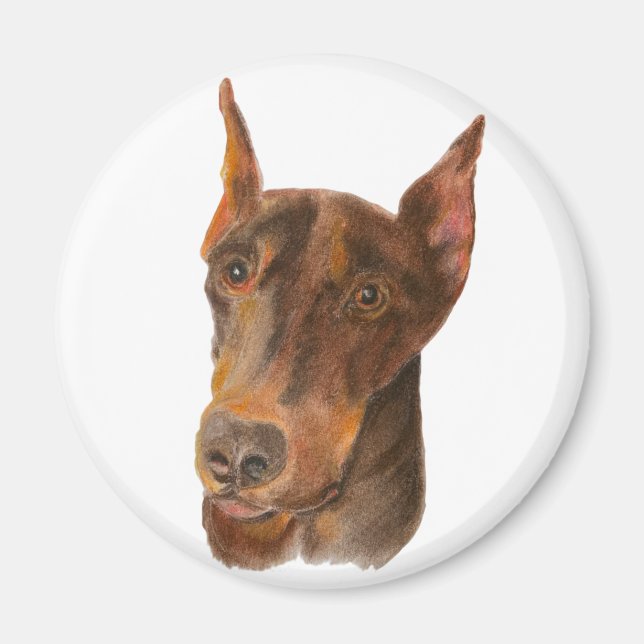 Imã Doberman Pinscher Magnet Redonda (Frente)