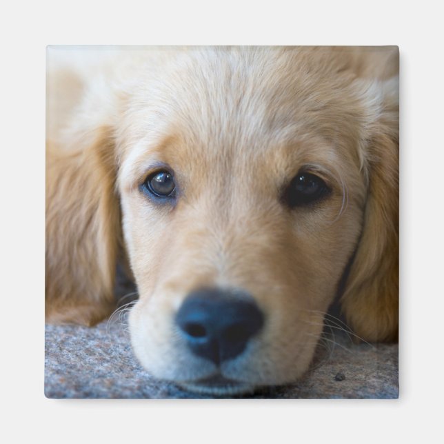 Imã Doce, Doce (Frente)