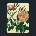 Ímã Doce Rosa Briar<br><div class="desc">Floral</div>