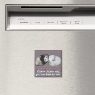 Imã Doce Sonhos Furões