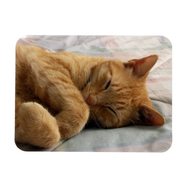 Ímã Doces Sonhos (Horizontal)