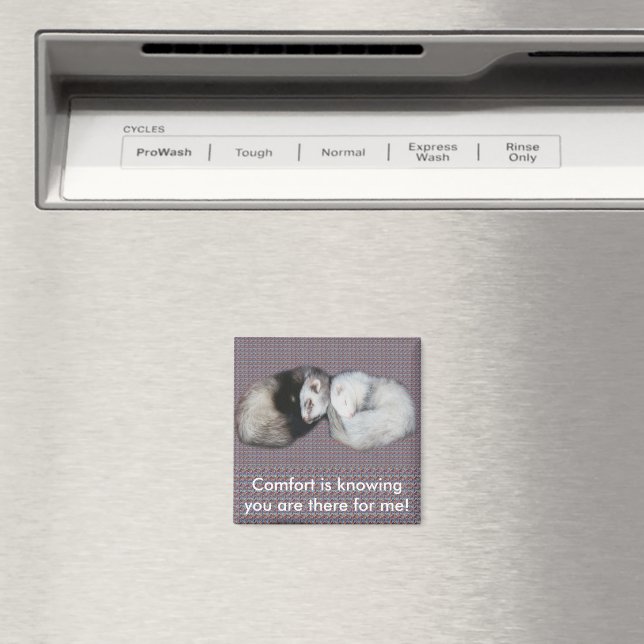 Imã Doces Sonhos Furões (In Situ (Dishwasher))