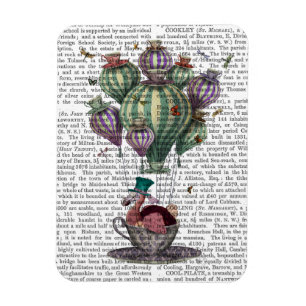 Ímã Dodo em Teacup com Dragonflies