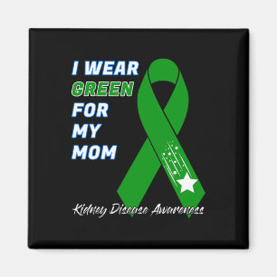 Imã Doença renal Sensibilização Doador do transplante 