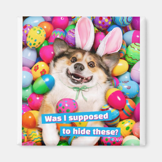 Imã Dog Laying on Easter Eggs (Frente)