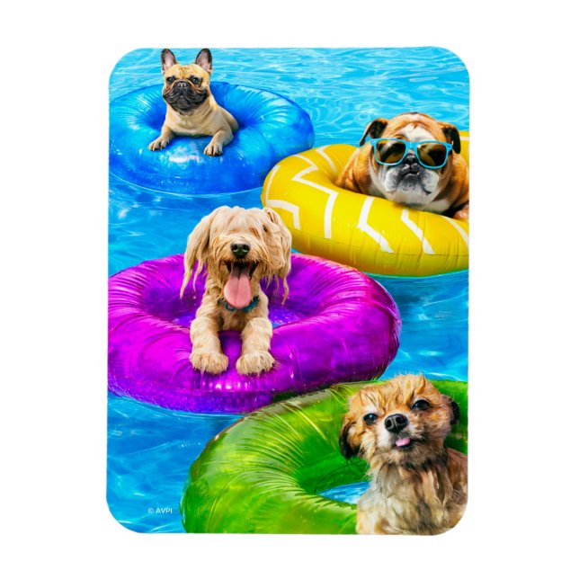 Ímã Dog Pool Party (Vertical)