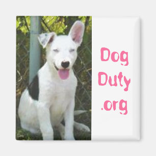 Imã DogDuty.org