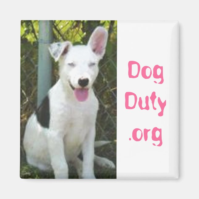 Imã DogDuty.org (Frente)