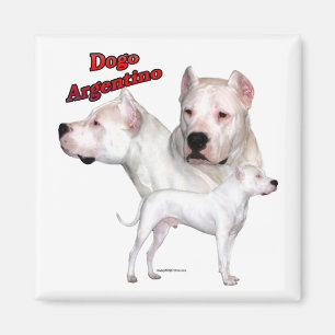 Imã Dogo Argentino Trio 2 - Magnet