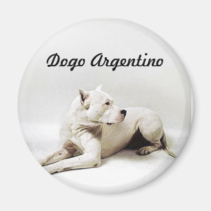 Imã dogo, Dogo Argentino