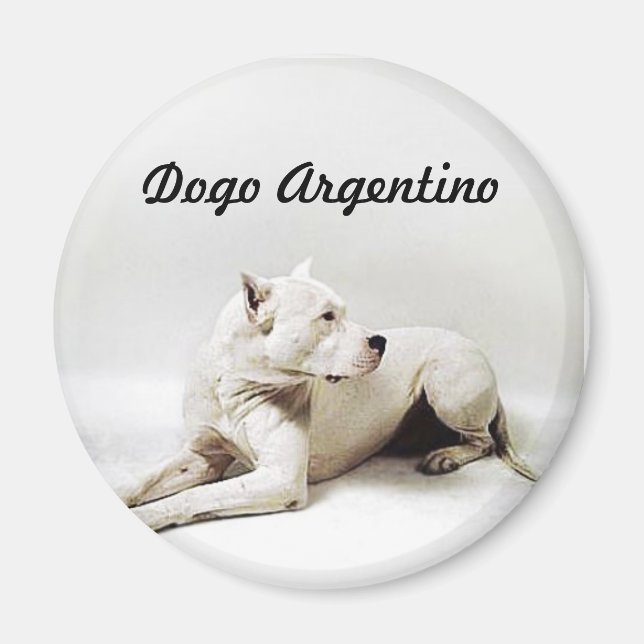 Imã dogo, Dogo Argentino (Frente)