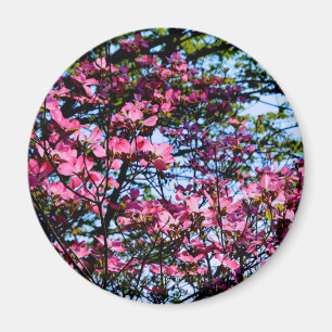 Imã Dogwood