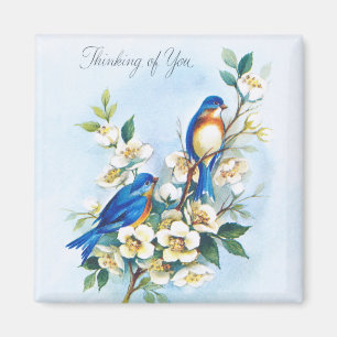 Imã Dois Bluebirds