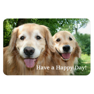 Ímã Dois cães felizes do golden retriever fora