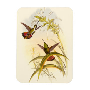 Ímã Dois coelhos coloridos com o objetivo da mesma flo