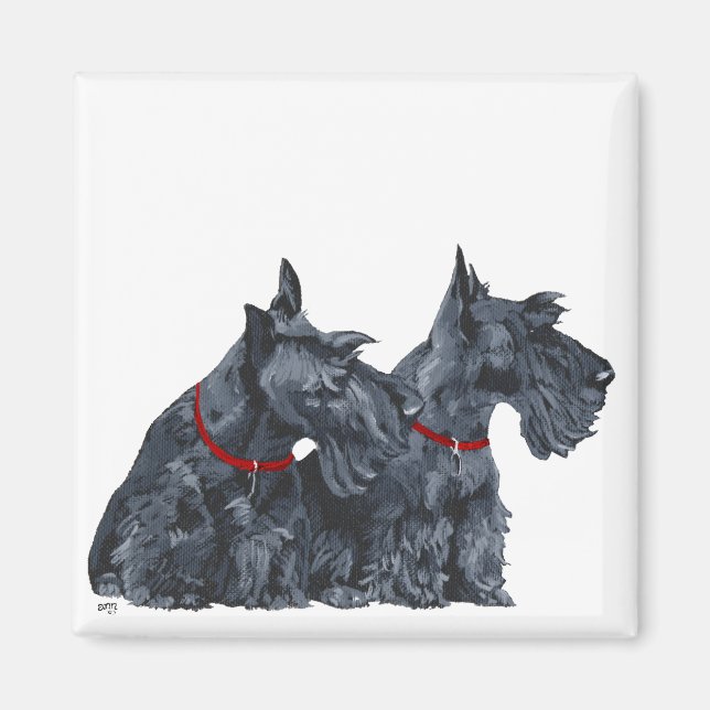 Imã Dois curiosos terriers escoceses (Frente)