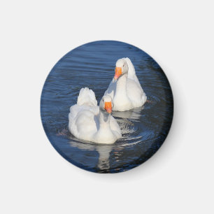 Imã Dois Emden Geese II