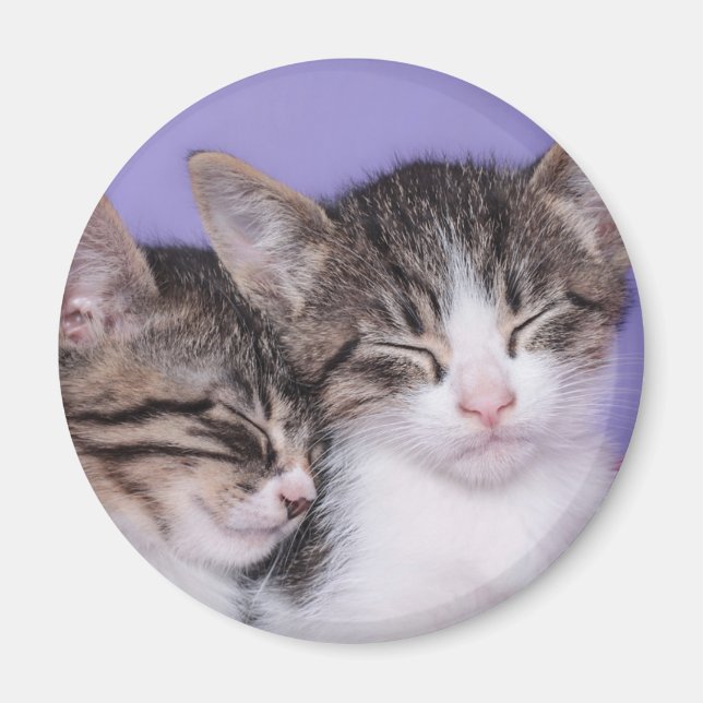 Imã Dois Gatinhos Cutes A Andar (Frente)
