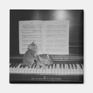 Imã Dois gatinhos que sentam-se no teclado de piano