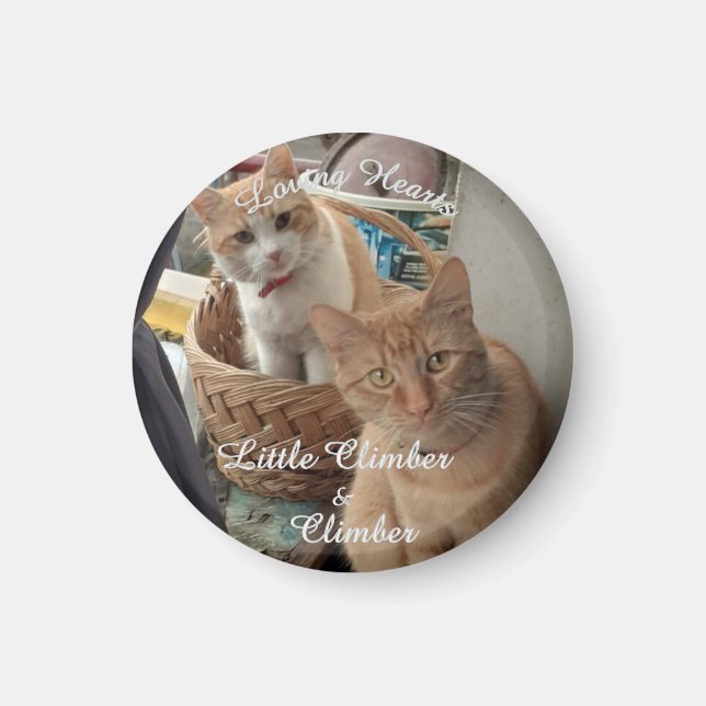 Imã Dois Gatos, Foto Substituível E Nomes, (Frente)