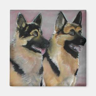 Imã Dois German shepherd majestosos de Raça K9 Cana