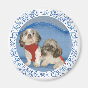 Imã Dois Pequenos Cachorros Resgatados Shih Tzu