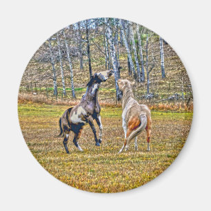 Imã Dois Pinto Pintor Cavalos de Equina Design