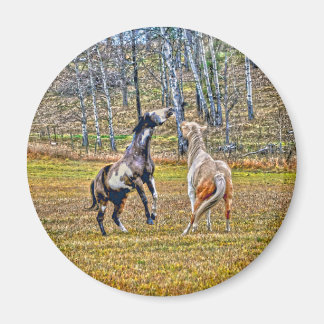 Imã Dois Pinto Pintor Cavalos de Equina Design