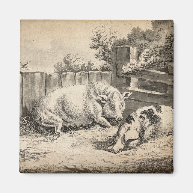 Imã Dois porcos deitados com palha numa Caneta ao ar l (Frente)