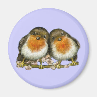 Imã dois robins