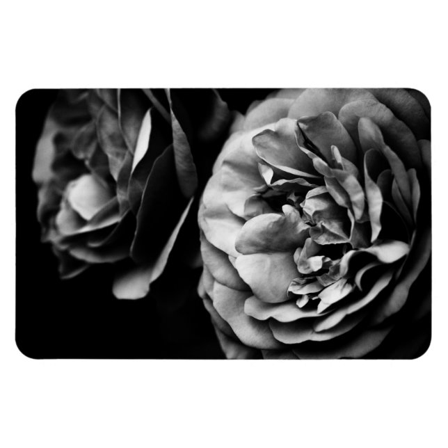 Ímã dois rosas (Horizontal)